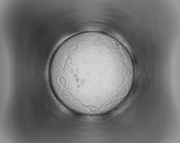 X0000111860803200908131458