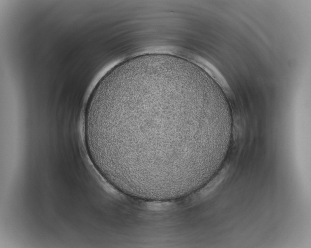 X0000111860804200908131458