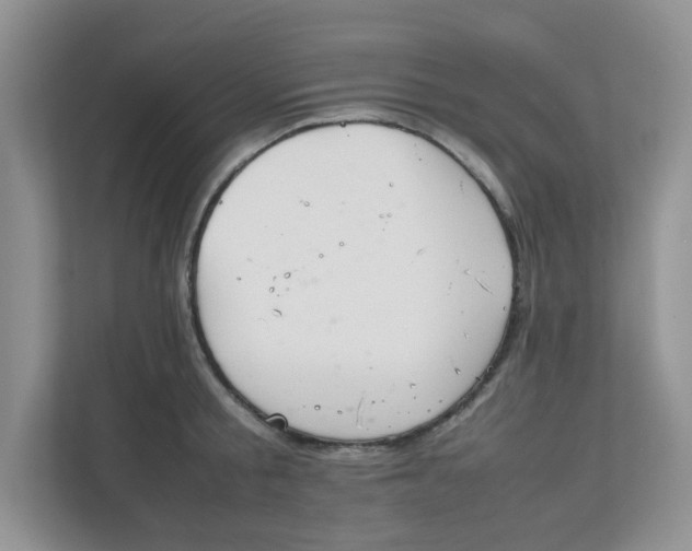 X0000111860805200908131458