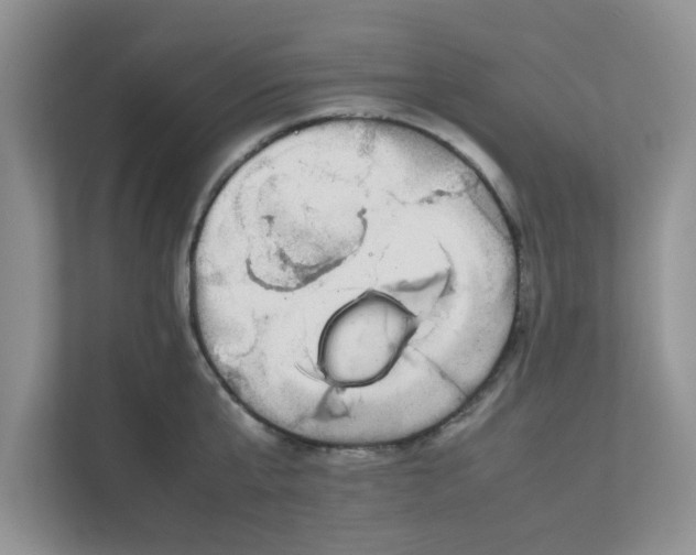 X0000111860807200908131458