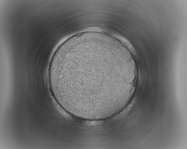 X0000111860808200908131458