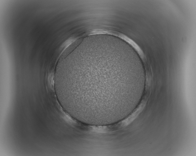 X0000111860809200908131458