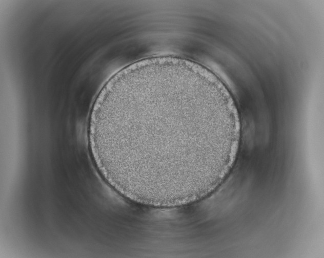 X0000111860810200908131458