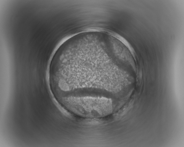 X0000111860811200908131458