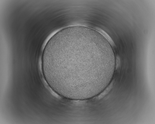 X0000111860812200908131458