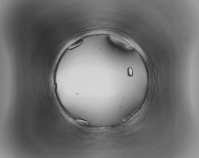 X0000111860813200908131458