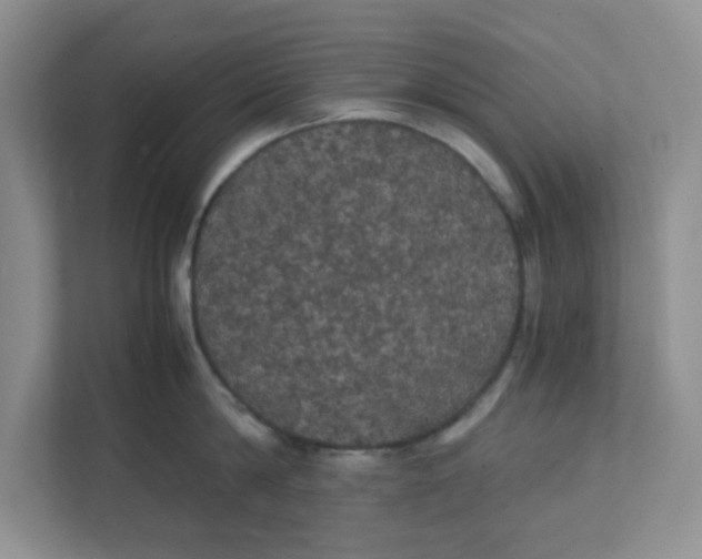 X0000111860814200908131458