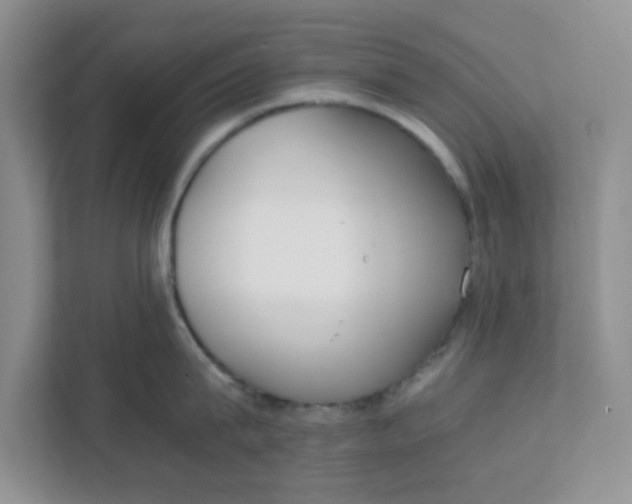 X0000111860815200908131458