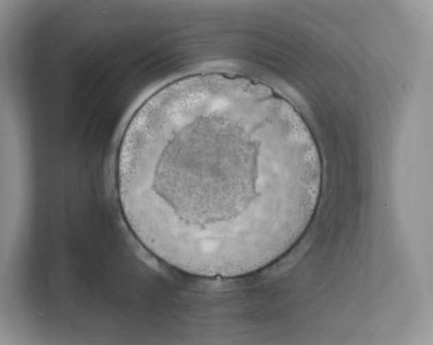 X0000111860816200908131458