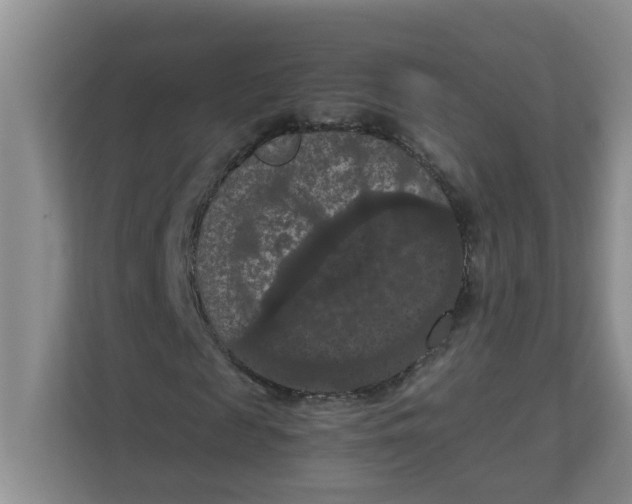 X0000111860817200908131457