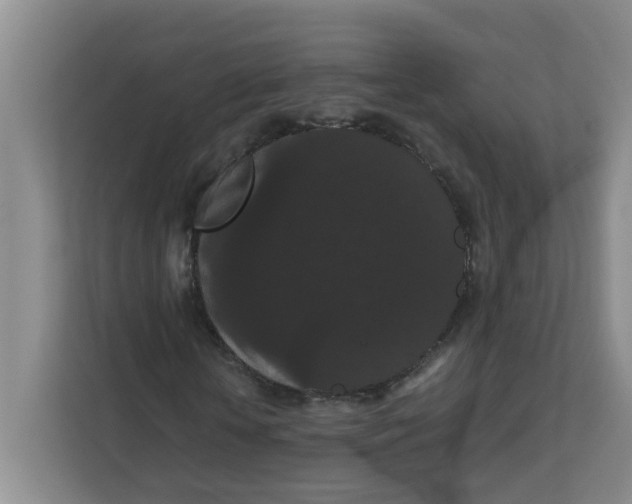 X0000111860818200908131457