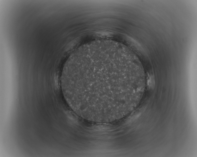 X0000111860819200908131457