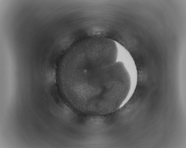 X0000111860820200908131457