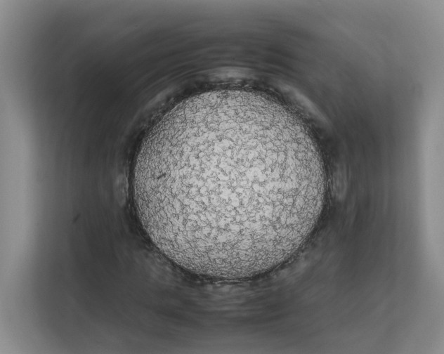 X0000111860821200908131457