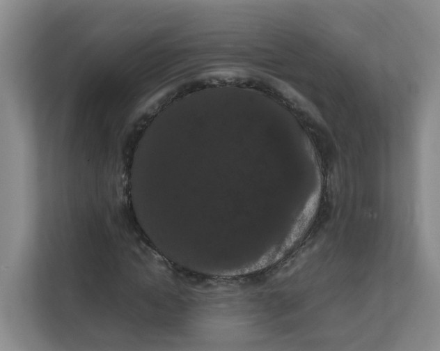 X0000111860822200908131457