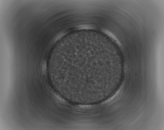 X0000111860825200908131457