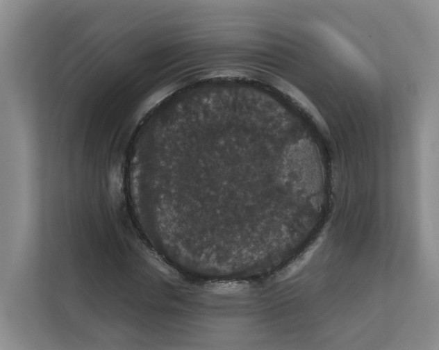 X0000111860826200908131457