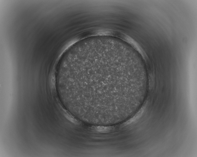 X0000111860827200908131457