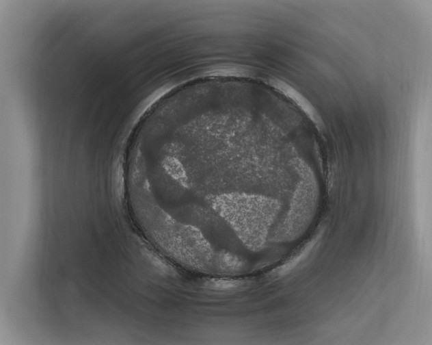 X0000111860829200908131457