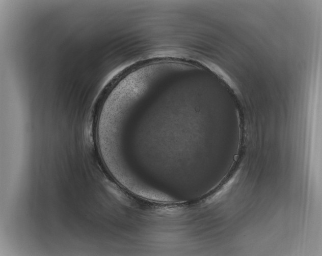 X0000111860830200908131457