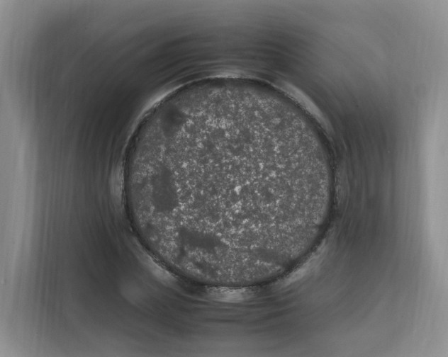 X0000111860831200908131457