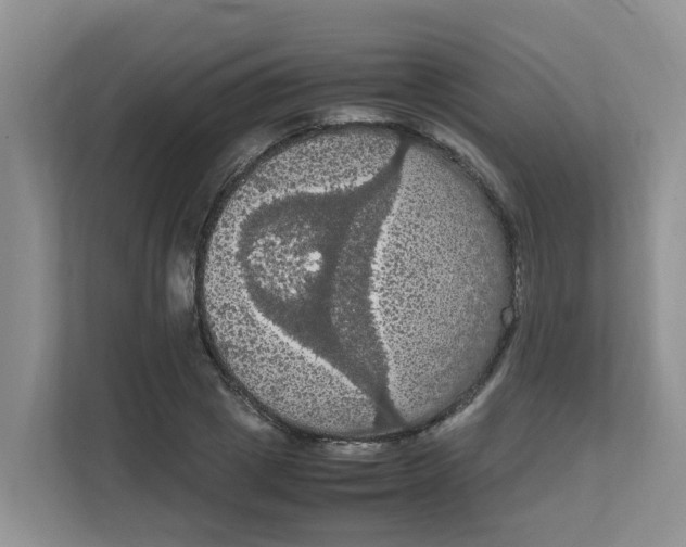 X0000111860833200908131457