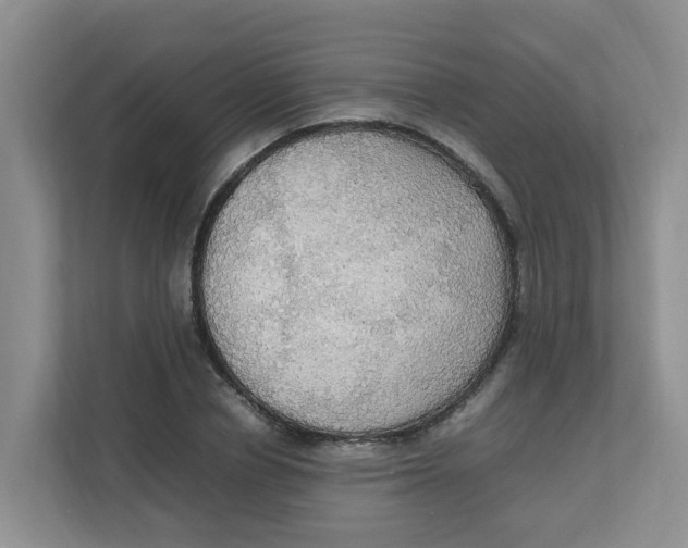 X0000111860834200908131457