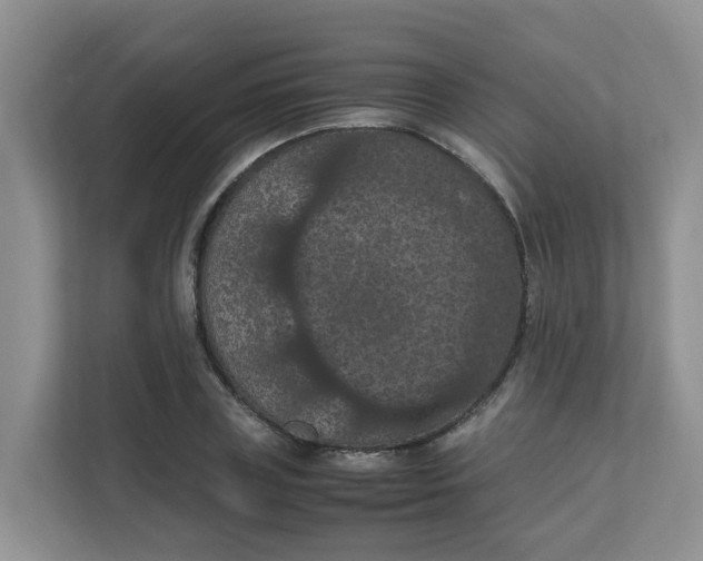 X0000111860835200908131457