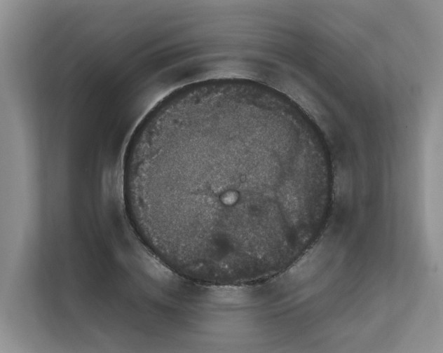 X0000111860836200908131457