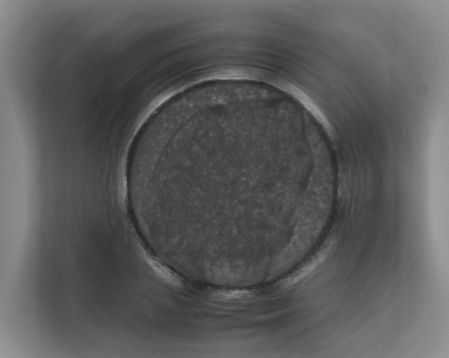 X0000111860837200908131457