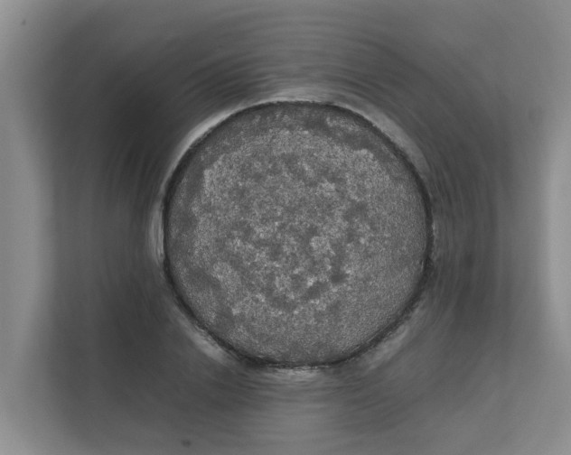 X0000111860838200908131457