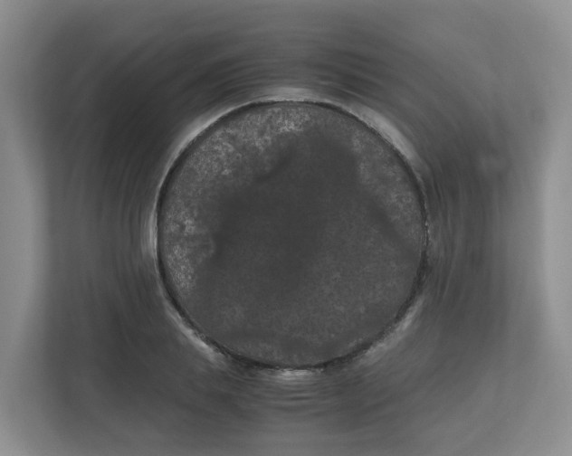 X0000111860839200908131457