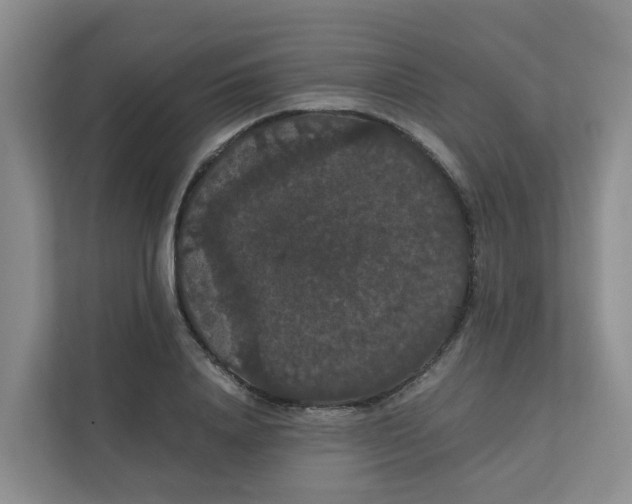 X0000111860840200908131457