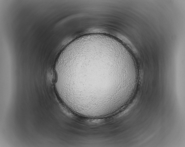 X0000111860841200908131457