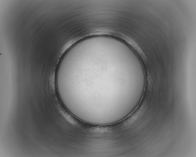 X0000111860842200908131457