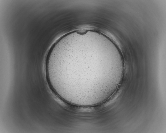 X0000111860843200908131457