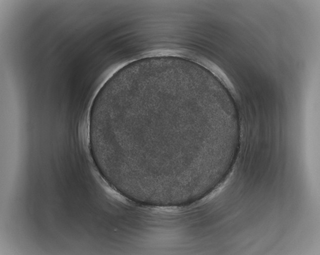 X0000111860844200908131457