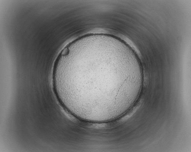 X0000111860845200908131457