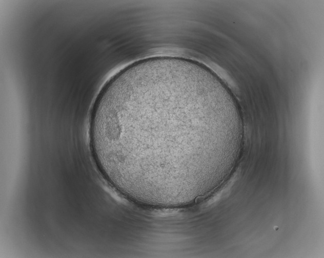 X0000111860846200908131457