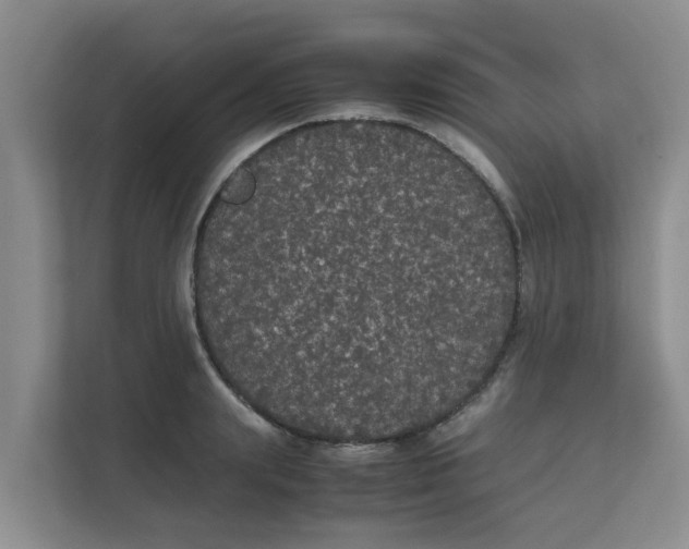 X0000111860847200908131457