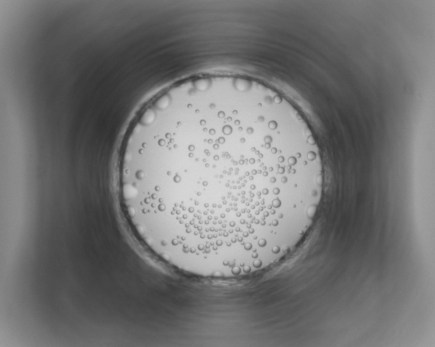 X0000111860848200908131458