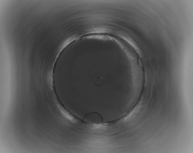 X0000111860850200908131458