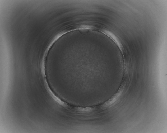 X0000111860851200908131458