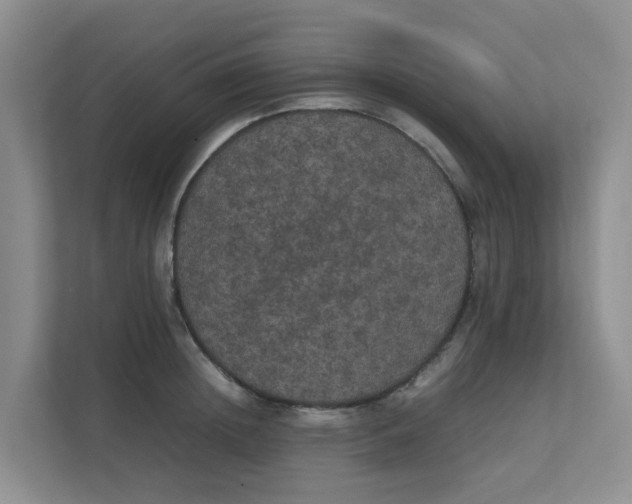 X0000111860852200908131458