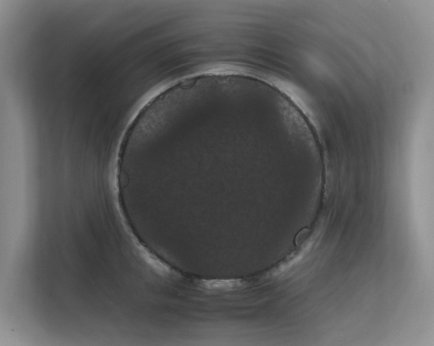 X0000111860853200908131458