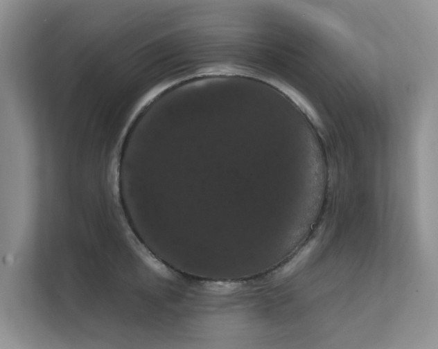 X0000111860854200908131458