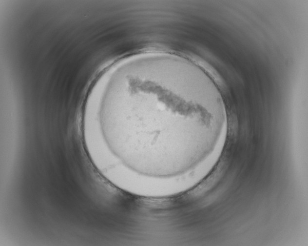 X0000111860856200908131458