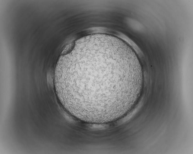 X0000111860857200908131458