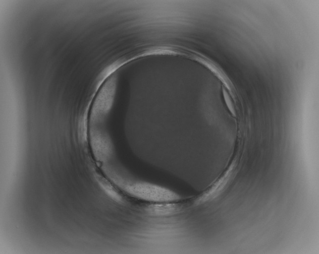 X0000111860858200908131458