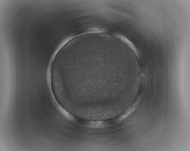 X0000111860859200908131458